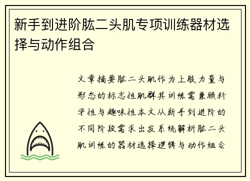新手到进阶肱二头肌专项训练器材选择与动作组合